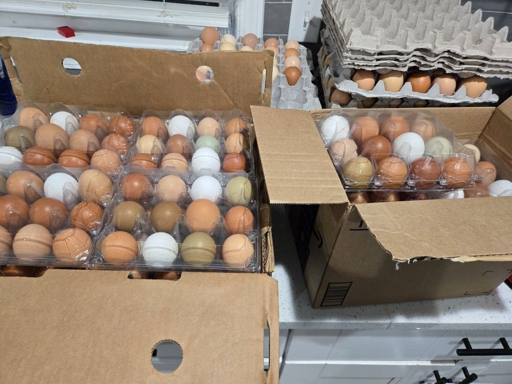 Fresh Farm Eggs