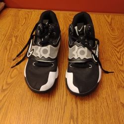 LeBron James Shoes Size 11