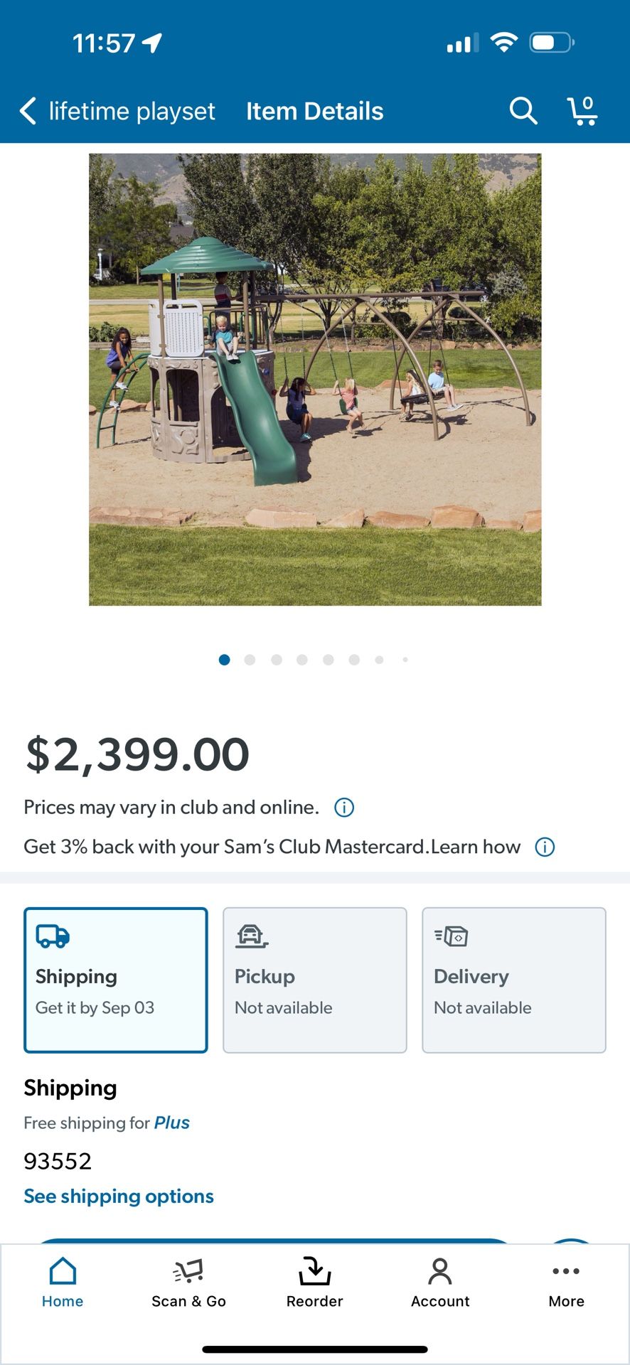 Lifetime Swing Set