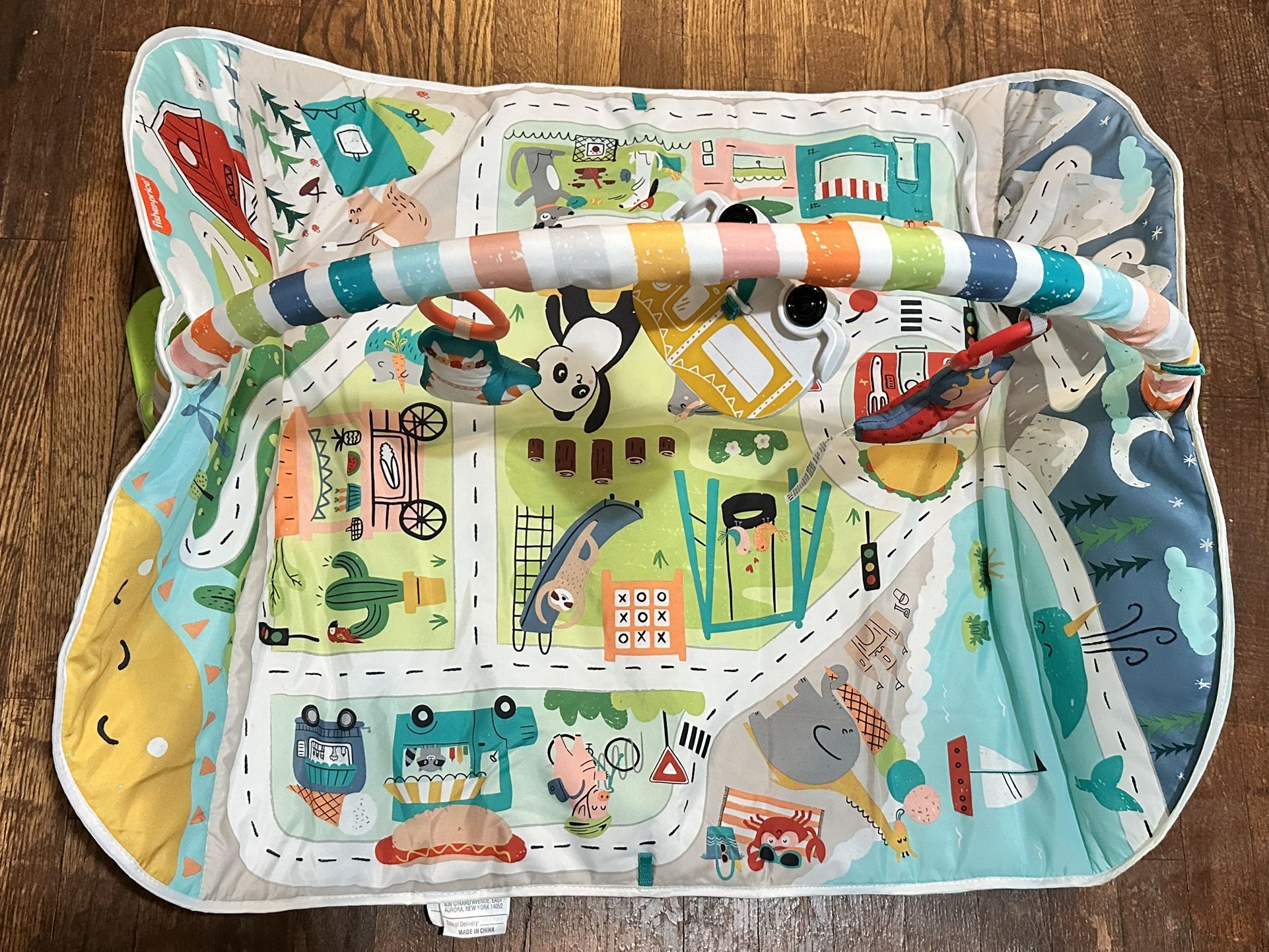 Fisher Price Activity Gym