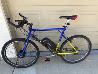 Pedal assist e-bike