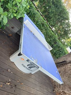 Ping Pong Table