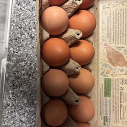 Farm Fresh Eggs- Large