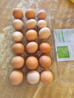 Organic Eggs $10