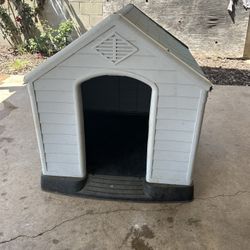 Dog House