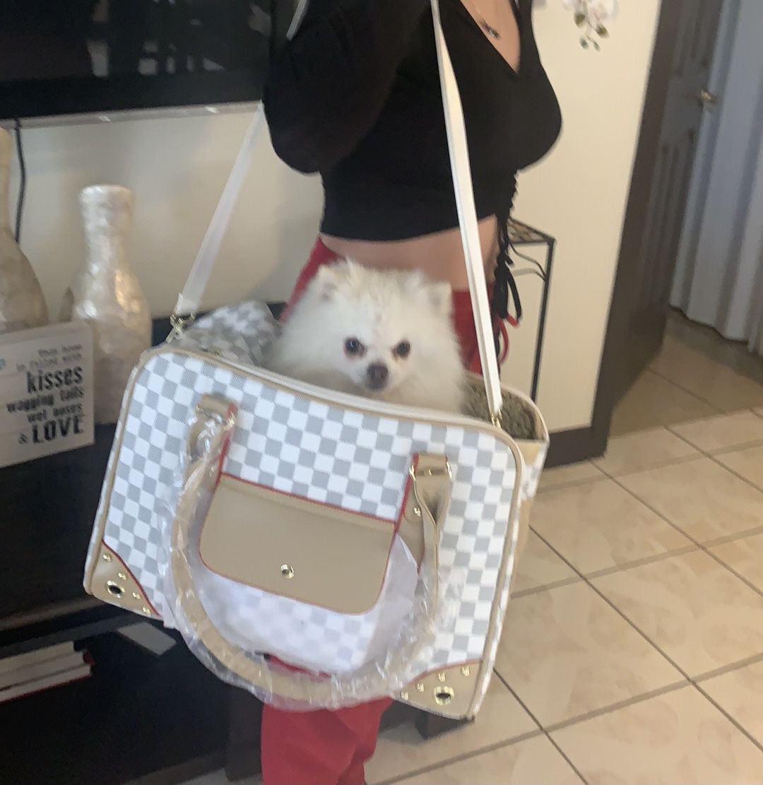 Dog Carrier Large Bag