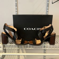 8.5 Women’s - Coach