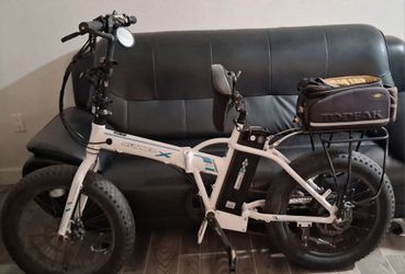 RO1 Runner X ELECTRIC BIKE