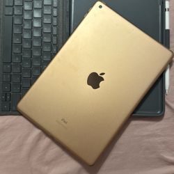 Rose Gold iPad 