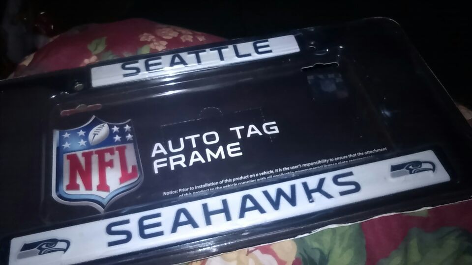 Seattle sea hawks frame