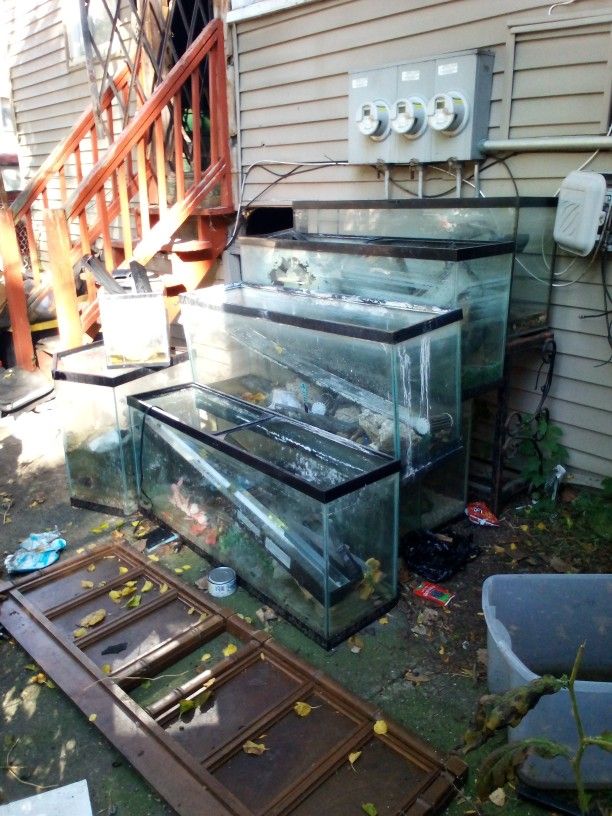 Fish Tanks