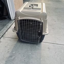 Pet mate Dog Kennel   Very Clean ! 