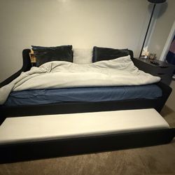 Trundle Bed