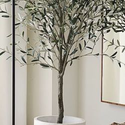 Pottery Barn White New Plaster Planter 12 /12