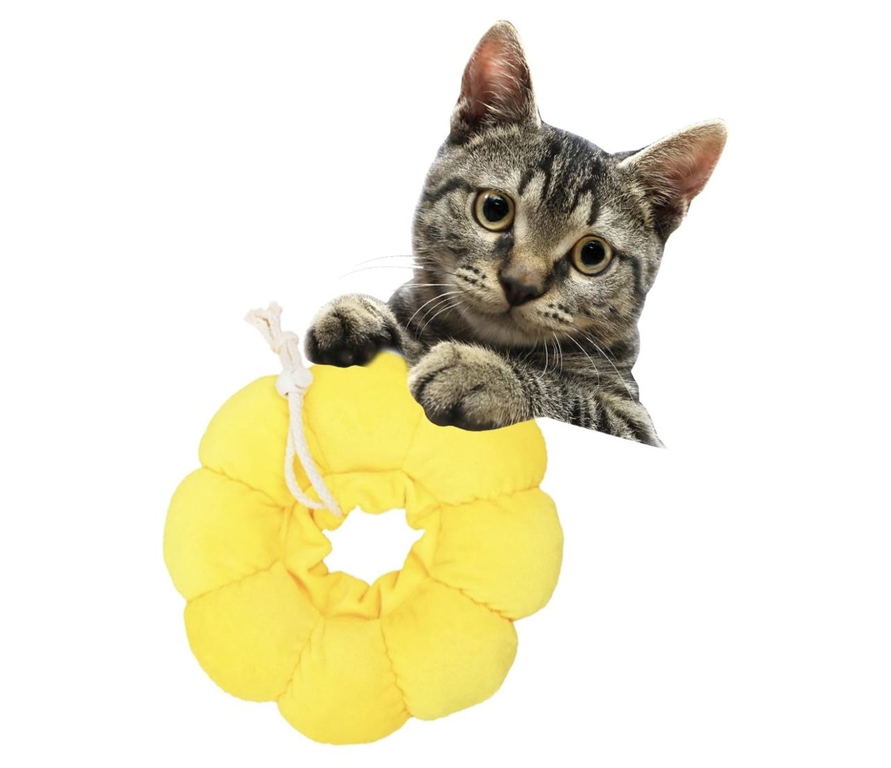 Adjustable Pet Recovery CollarCone with Elastic Band (S)