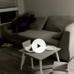 Couch  2 Piece Sectional