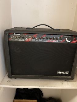 Dinosaur Amplifier Model DAG-30