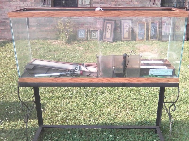 Fish Tank and Stand