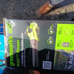 Greenworks Leaf Blower 630 CFM 