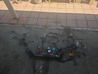 Tesla Model 3 Low Voltage Wirirng Harness