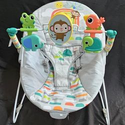 Baby Bouncer