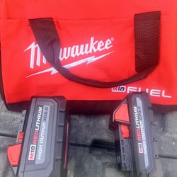 Milwaukee 2 Battery And Bag 