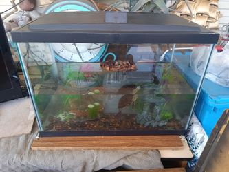Fish or turtle tank with lid  negotiable