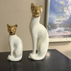 Set Of Super Cute Cats! 