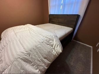 Queen bed frame & box spring (no mattress)