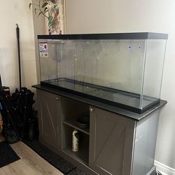 55 gallon fish turtle tank