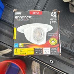 spot Light