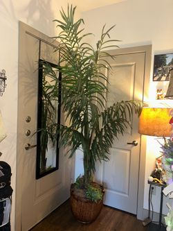Artificial Palm Tree With wicker Pot