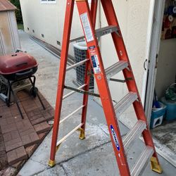 Werner 6ft Ladder 