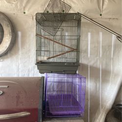 Cage For Birds 