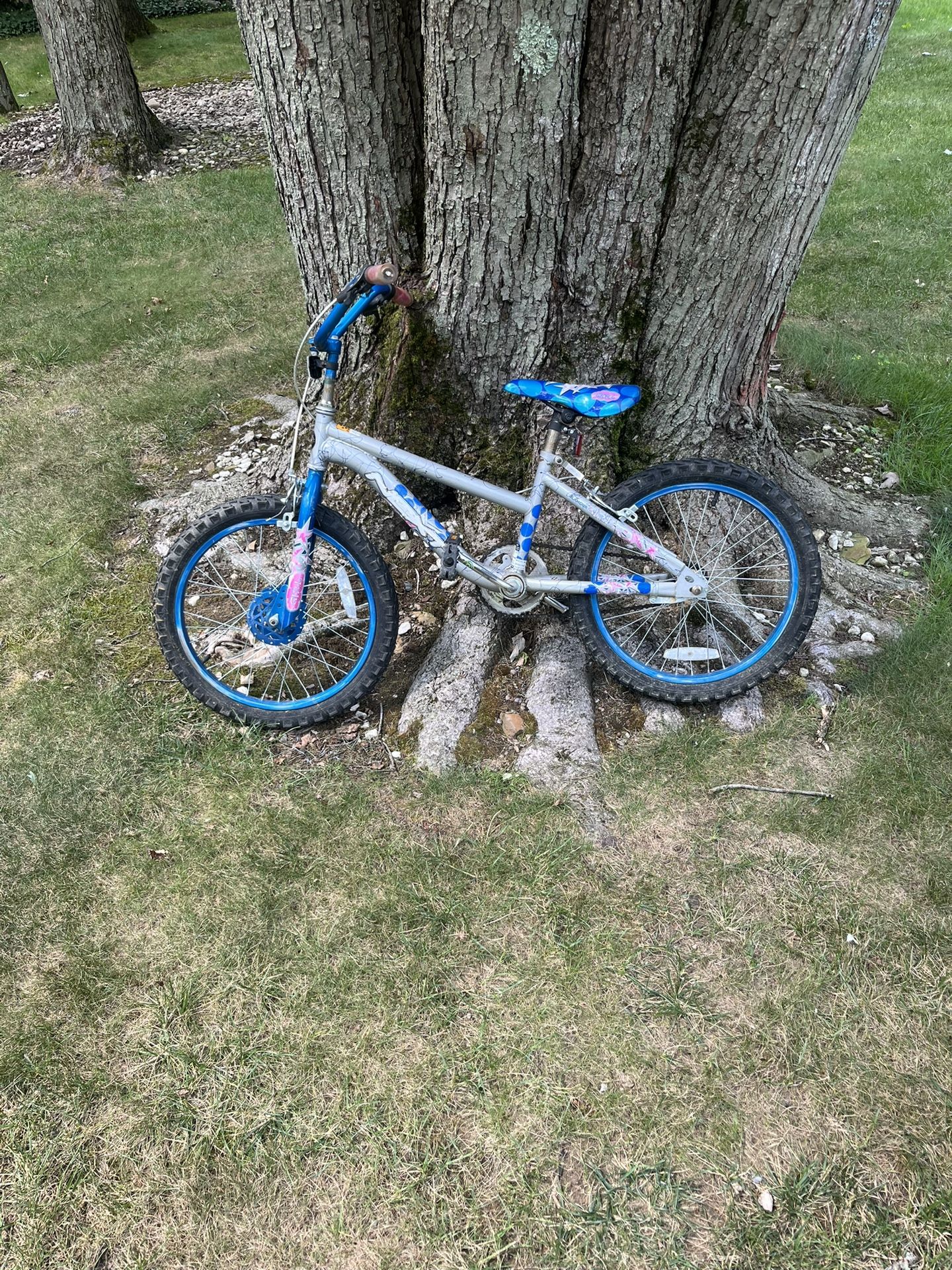 20” Kids Bike
