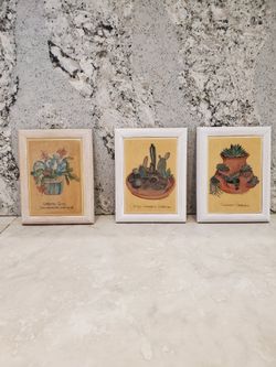 Cactus Framed Tiles