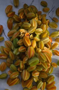 Star Fruit/ Carambola