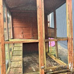 Chicken Coop + Trailer