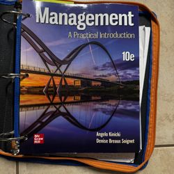 Management A Practical Introduction 