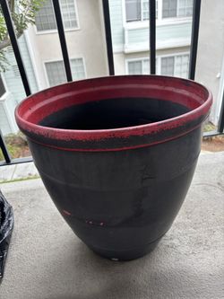Plant pot