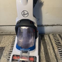 Carpet Cleaner