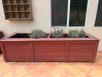 Free Plant Bed/ Lavendar/Dirt