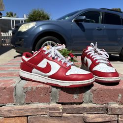 Nike Dunks 