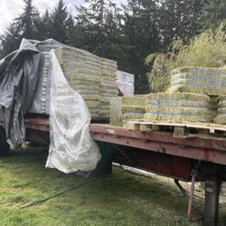 Alfalfa (Eastern Washington)