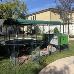 Omlet Pro Chicken Coop With Walk In Run (9x9ft)