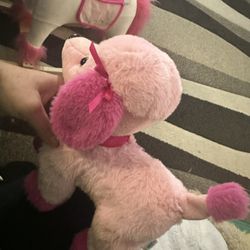 Kids Connection, Walking Pet Poodle