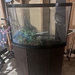 Fish Tank -40gal