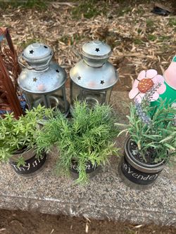 Decorative Lanterns, Birdcage, Potted https://offerup.com/redirect/?o=UGxhbnRzLnJlYWQ= description 1st