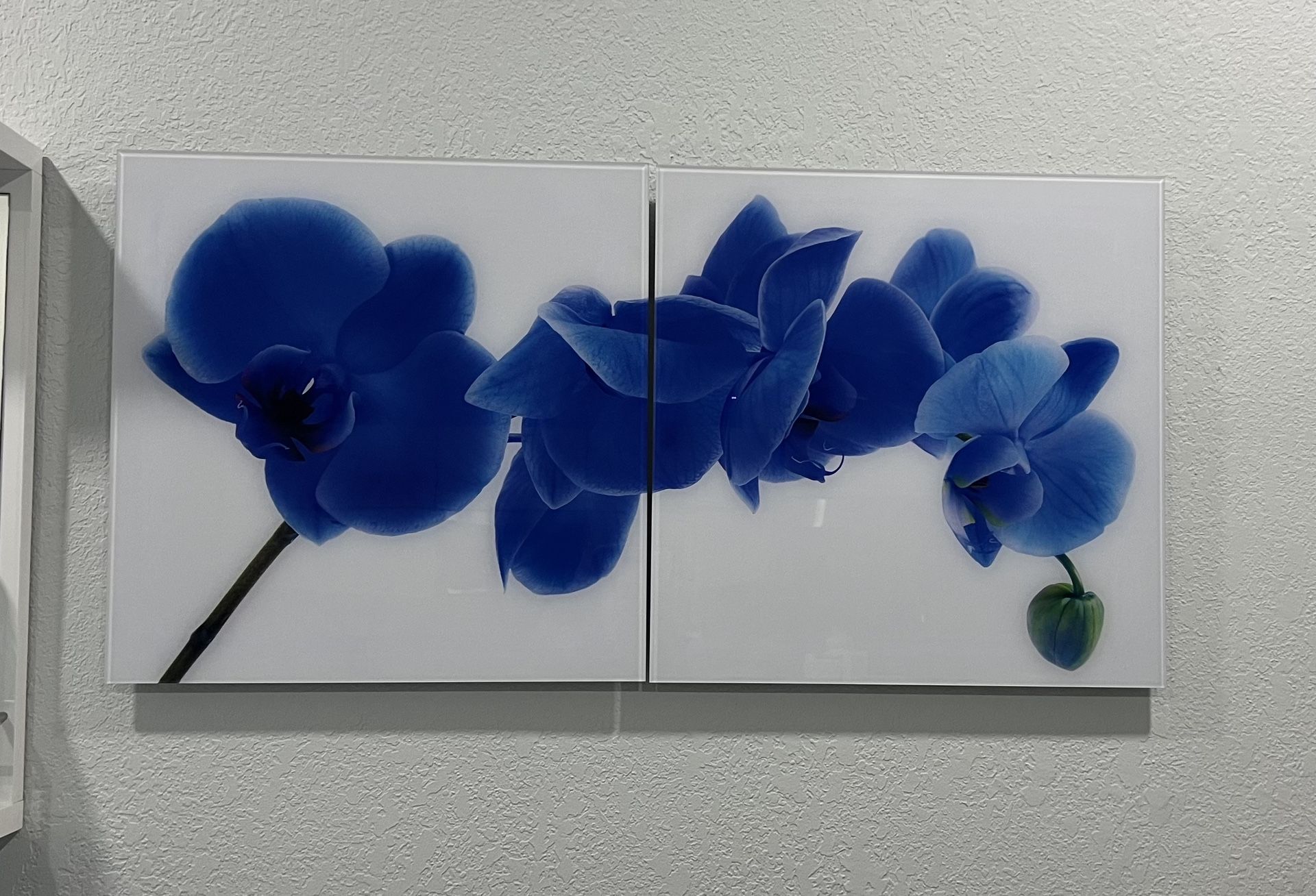 Juego De Dos Cuadros De Material Acrílico 47” Ancho Y 23” Alto