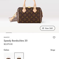 Louis Vuitton Bag 